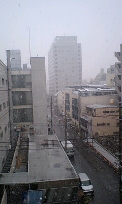 雪の大阪